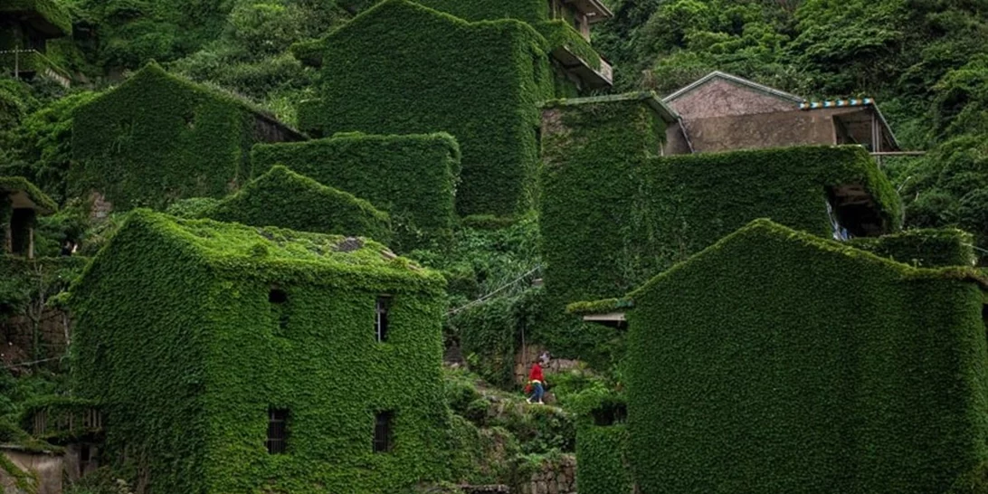 Houtouwan | Αυτή η πόλη της Κίνας έχει χαθεί (κυριολεκτικά) κάτω από έναν κισσό 