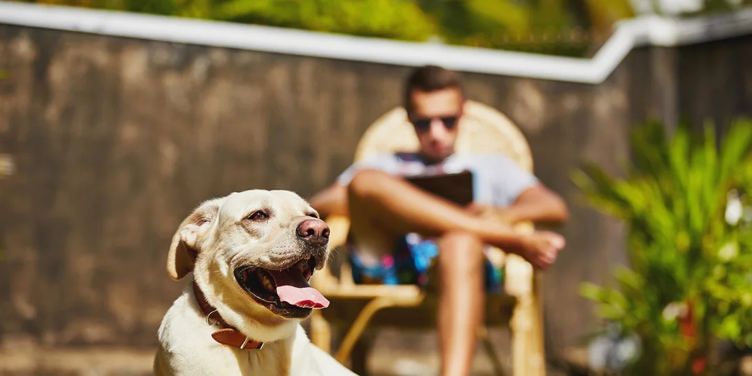Τα σκυλιά μας κάνουν πιο ευτυχισμένους, πιο υγιείς και περισσότερο fit