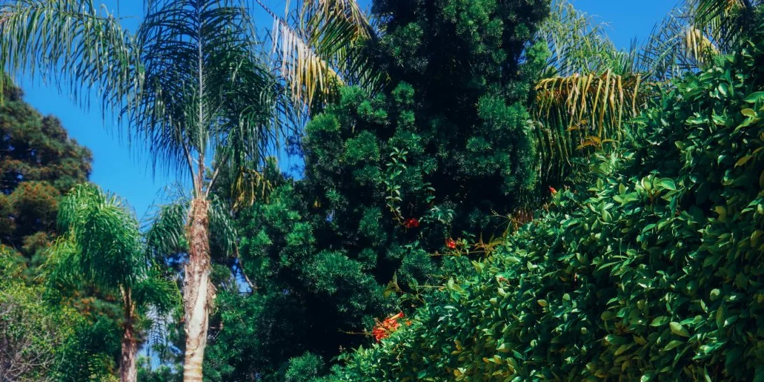 Η Paris Hilton ψηφίζει Ελλάδα