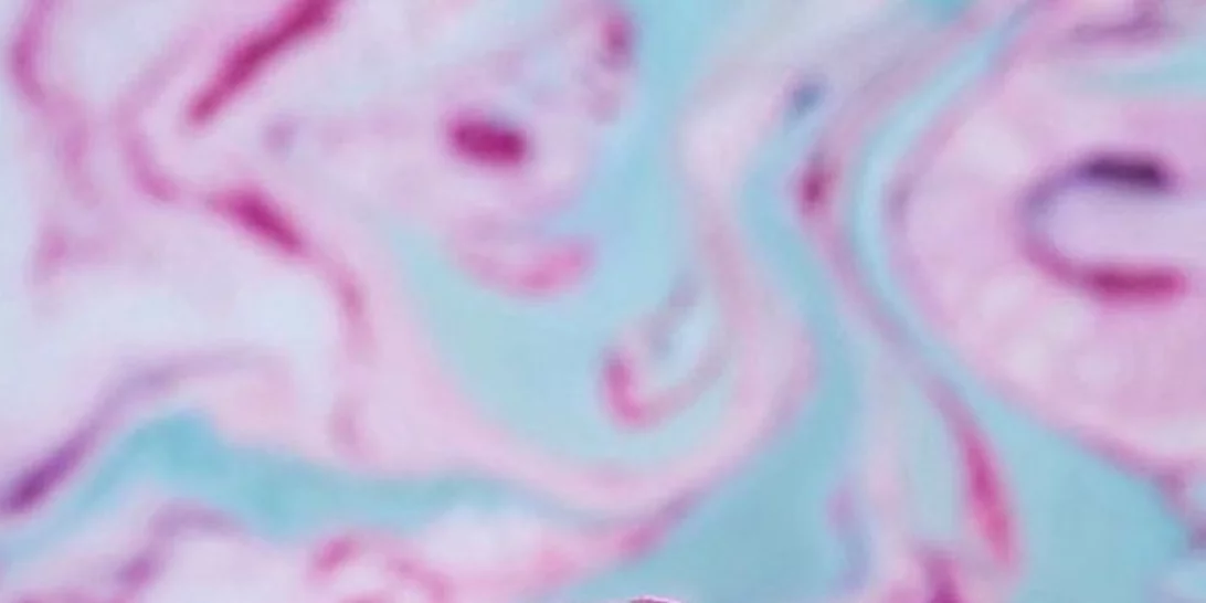 Αν αγαπάς τα τόσο μυρωδάτα Lush πρέπει να διαβάσεις αυτό το νέο που σίγουρα σε αφορά