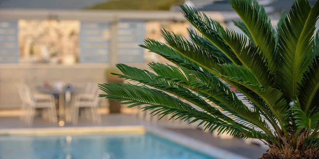 Καλοκαίρι στο πιο όμορφο rooftop της Αθήνας