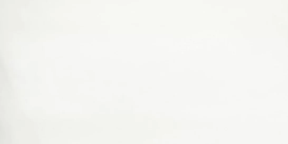 #lifeisbetterwithpets: 5 ιδέες για να περάσεις καλά με τον σκύλο σου