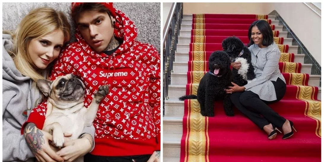 Παγκόσμια Ημέρα Ζώων | Οι διάσημοι και τα αγαπημένα τους κατοικίδια