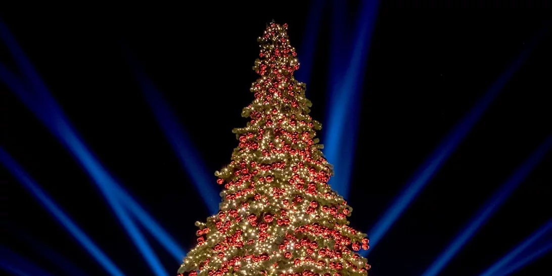 Christmas Festival | Η μαγεία των Χριστουγέννων ξεκινά