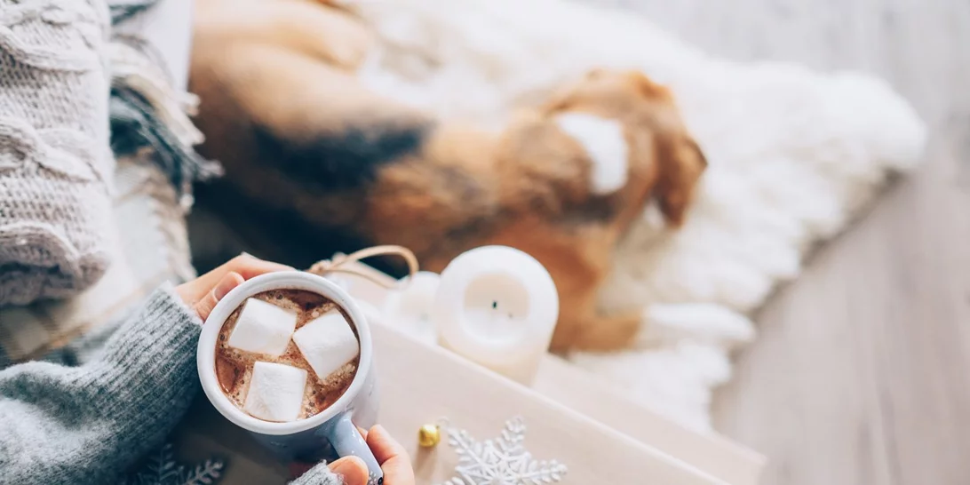 Πανσέληνος στους Διδύμους στις 23/11: Πώς θα σε επηρεάσει;