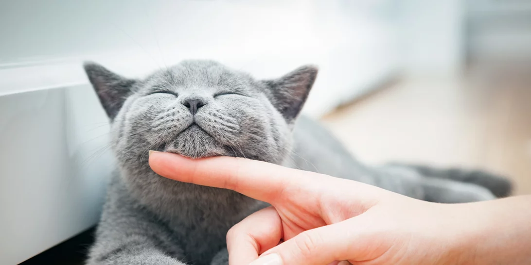 Άρης στους Ιχθύες: Πώς επηρεάζει κάθε ζώδιο;