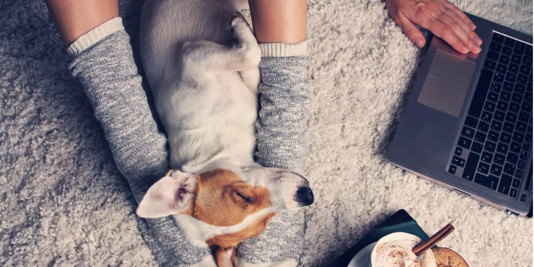 Θεωρία ευτυχίας | Τι είναι το JOMO που χρειάζεσαι στη ζωή σου;