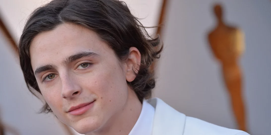 Ο Timothée Chalamet θα πρωταγωνιστήσει στην νέα ταινία του Wes Anderson