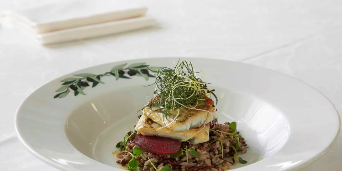 Το Olive Garden του ξενοδοχείου ΤΙΤΑΝΙΑ σε υποδέχεται με νέο απολαυστικό χειμωνιάτικο  μενού