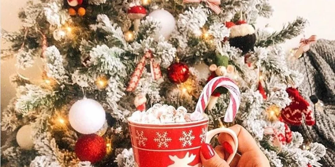 9 παραδοσιακά Χριστουγεννιάτικα ροφήματα από όλο τον κόσμο!