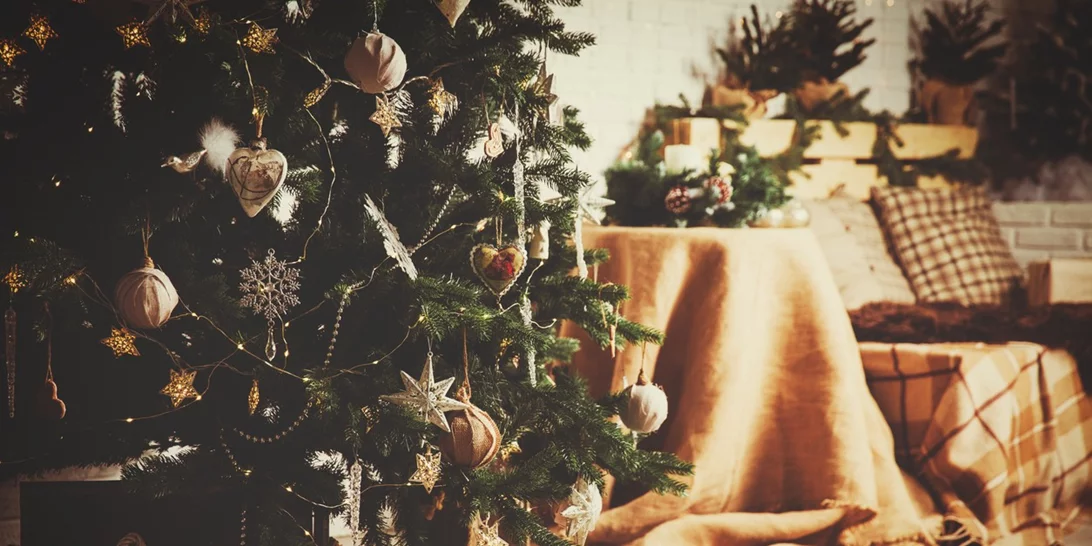 Ποιο είναι το λάθος που κάνουν όλοι με το χριστουγεννιάτικο δέντρο τους;