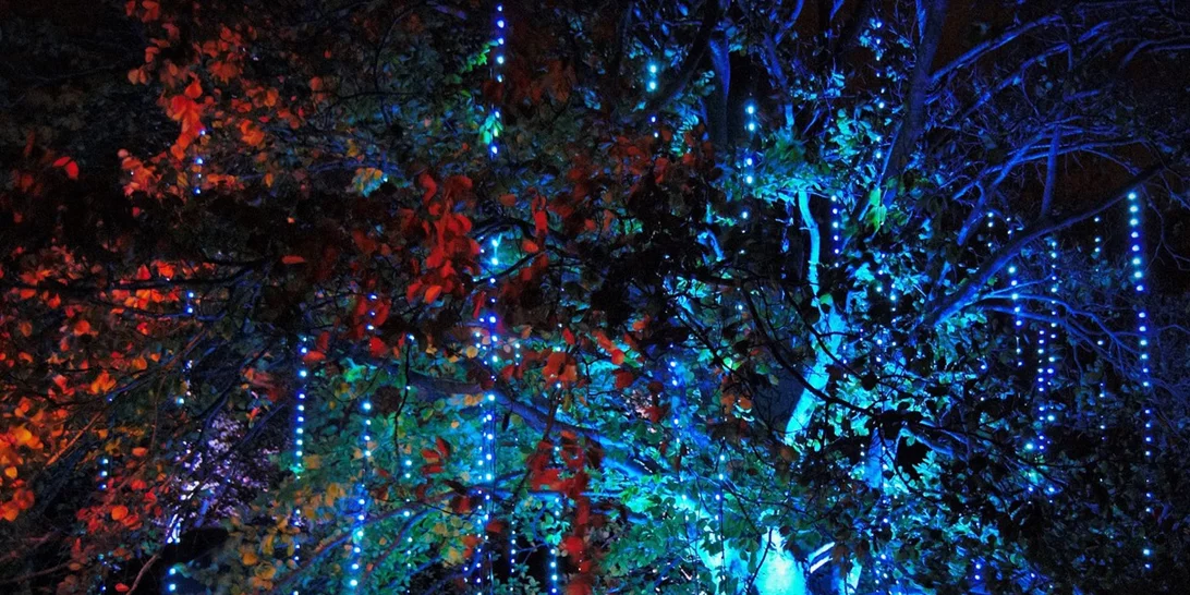 Εσύ πιστεύεις στα ξωτικά; | Ποια χώρα υποστηρίζει την ύπαρξή τους;