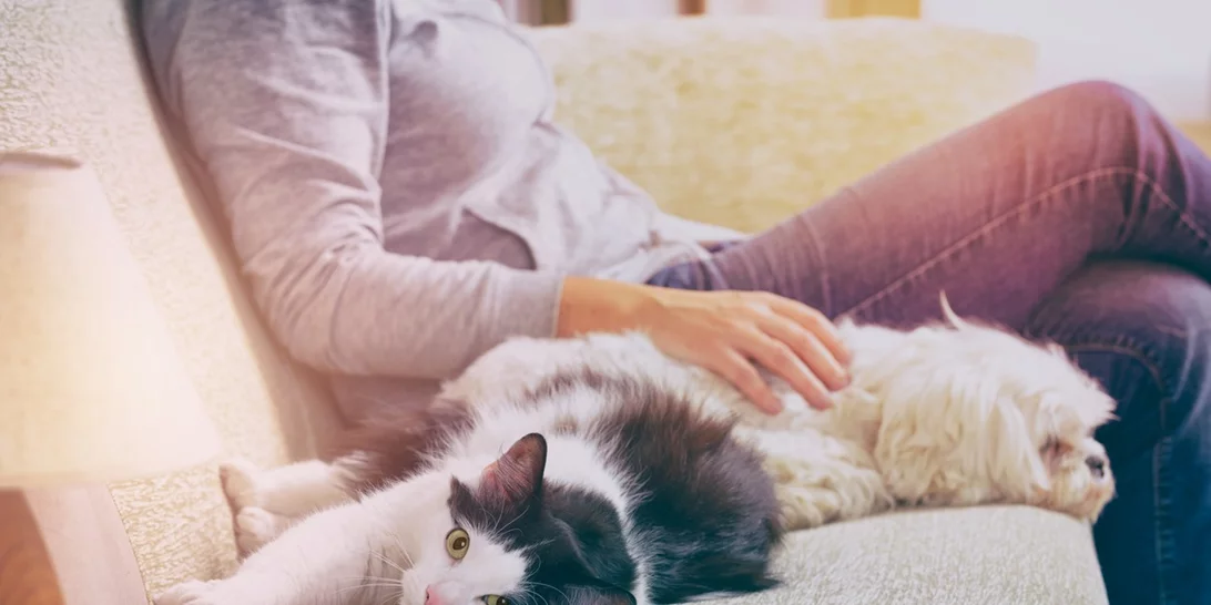 Ολική Σεληνιακή Έκλειψη/Πανσέληνος στον Λέοντα | Πώς θα σε επηρεάσει;