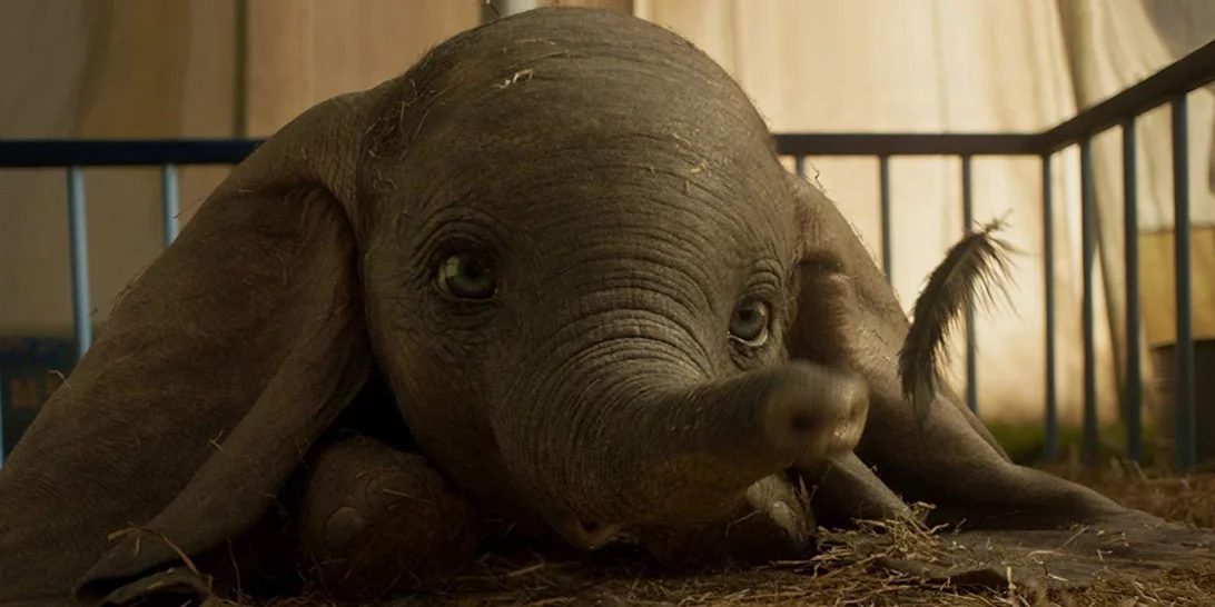 6 ταινίες που αξίζει να δεις τώρα στο σινεμά