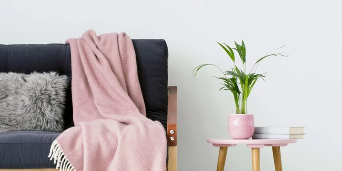 Κάθε πότε πρέπει να πλένεις το ριχτάρι του καναπέ;