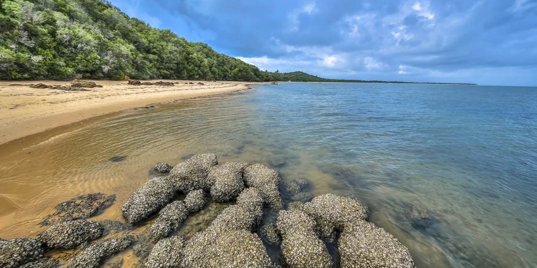 Πακέτο διακοπών στη Χαβάη με παρατήρηση των άστρων με την καθοδήγηση πρεσβευτή της NASA