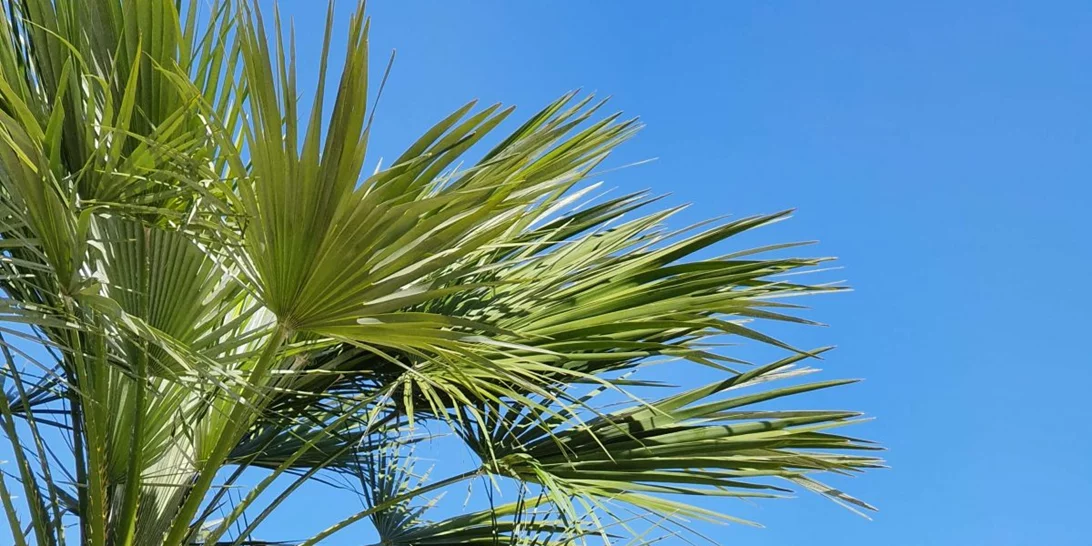 Δυναμική και με αυτοπεποίθηση σε κάθε φάση της ζωής σου