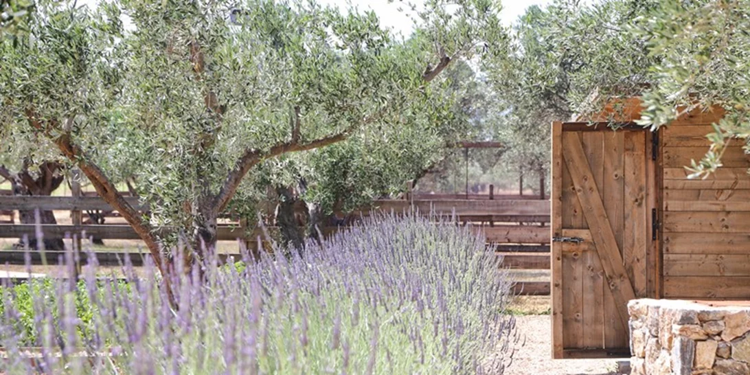 5 λόγοι γιατί η Φάρμα του The Margi είναι το πιο cool destination της πόλης και για το Πάσχα