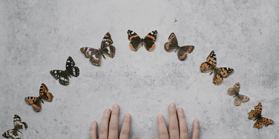 Haim Ginott: Τα παιδιά είναι σαν το υγρό τσιμέντο. Οτιδήποτε πέφτει πάνω τους, αφήνει αποτύπωμα