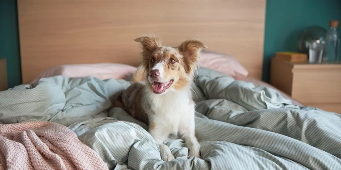 Σ’ ένα σπίτι ΙΚΕΑ ζεις πιο πολλά απ’ όσα φαντάζεσαι