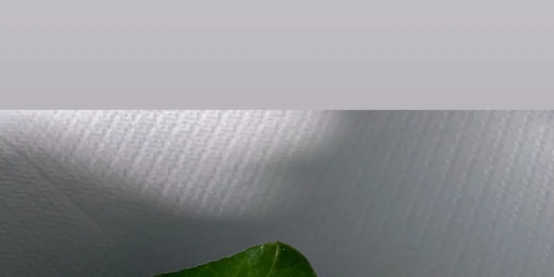 Η Κατερίνα Καινούργιου σε βάφτιση | Δες το look της! (pics)