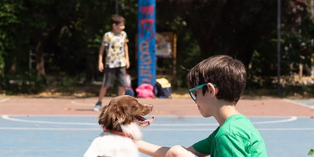 Πώς μπορεί ένας σκύλος να αλλάξει μια ζωή;