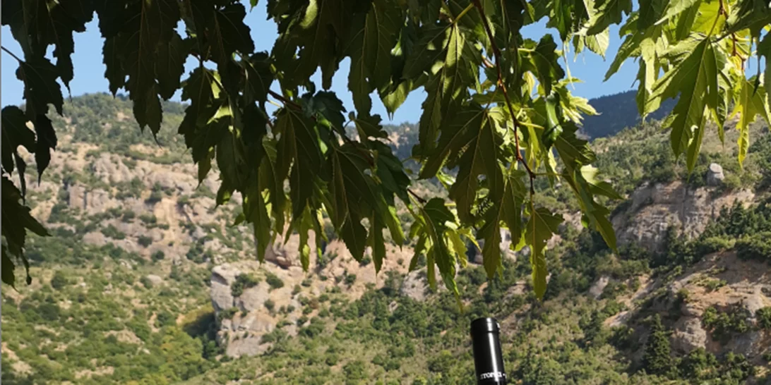 Πήγαμε για wine tasting στα Καλάβρυτα με την Lidl Ελλάς