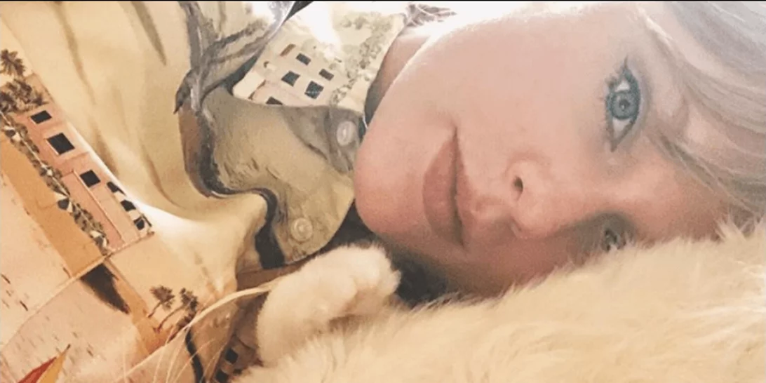 Η Taylor Swift έχει τις πιο διάσημες γάτες του Instagram