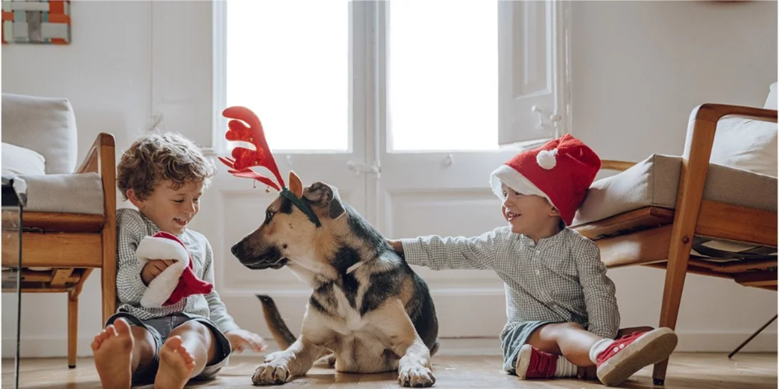 Χριστούγεννα με τα παιδιά στην Αθήνα | Οι καλύτερες ιδέες για θέατρο και βόλτες