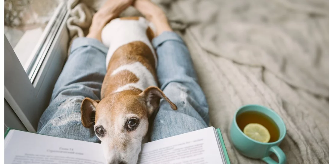 4 συγγραφείς best sellers επιστρέφουν με νέες περιπέτειες