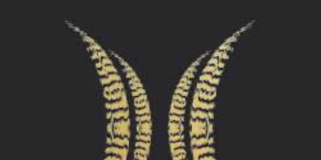 Ο Όμιλος Ξενοδοχείων Διβάνη προσφέρει 100.000 ευρώ στον αγώνα κατά του COVID-19