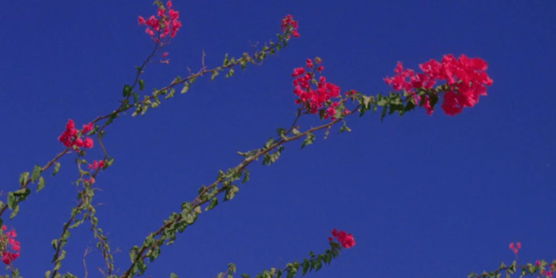 Ο οίκος Chanel θα παρουσιάσει το πρώτο του virtual fashion show