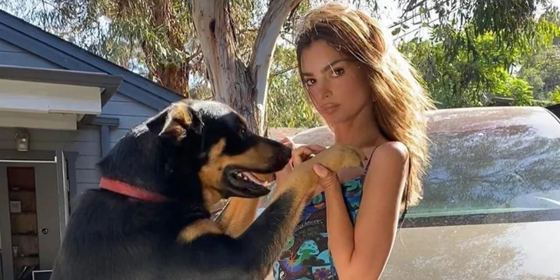 Tα κορίτσια της μόδας λατρεύουν αυτό το στιλ φορέματος και επενδύουν σε ένα συγκεκριμένο brand