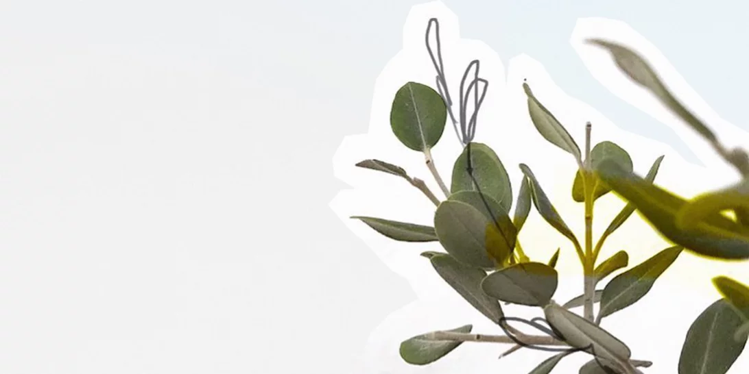 Eσπαντρίγιες | Η πιο φρέσκια προσθήκη στη βαλίτσα των διακοπών