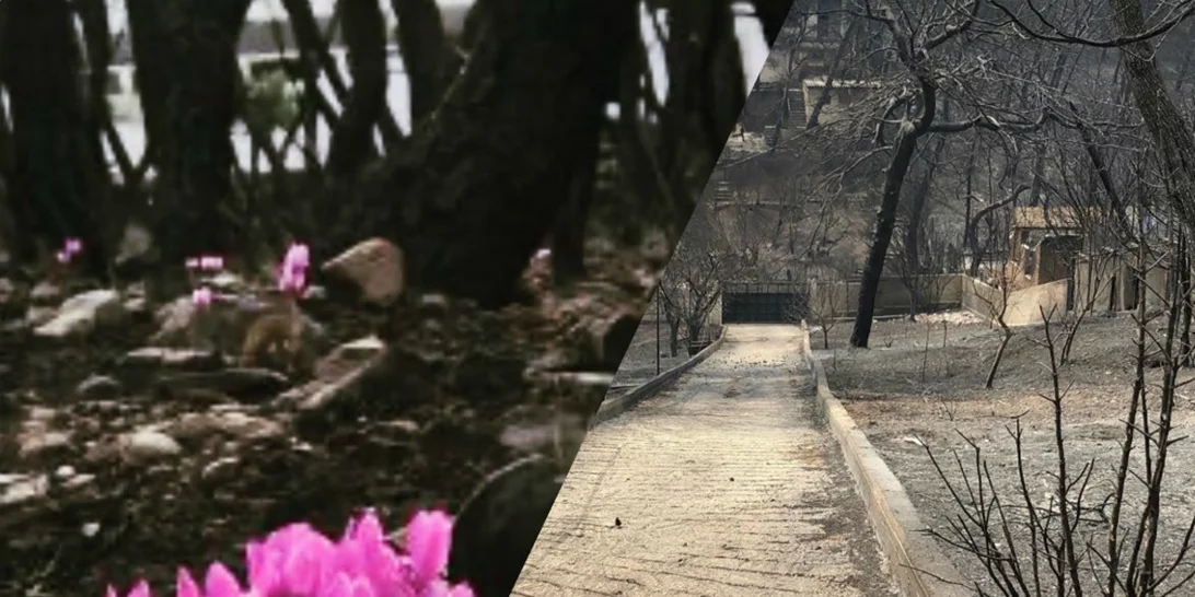 2 χρόνια από τη φονική φωτιά στο Μάτι | Τι δημοσίευσαν οι Έλληνες celebrities;