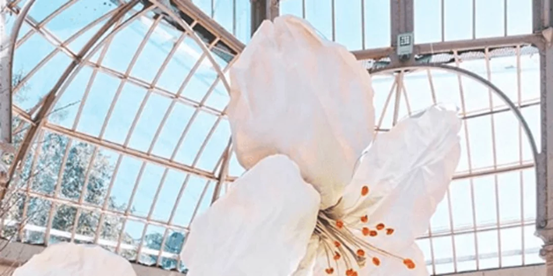 Γιγαντιαία φωλιά με λουλούδια έγινε το Palácio De Cristal στη Μαδρίτη