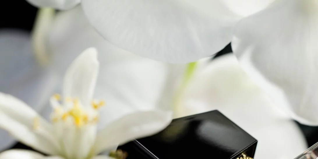 Αναζητούμε τα πιο τέλεια φθινοπωρινά αρώματα: Ο οίκος YSL Beauty λανσάρει το Libre Eau de Parfum Intense