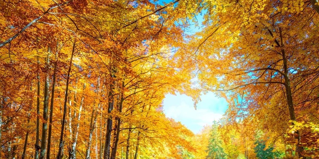 Ανάδρομος Ερμής έως τις 27 Οκτωβρίου | Αυτά τα ζώδια θα επηρεαστούν περισσότερο