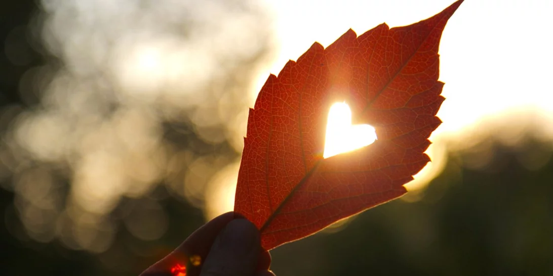 Οι αισθηματικές προβλέψεις των ζωδίων για τον Οκτώβριο 2020 | Έρωτες από το παρελθόν