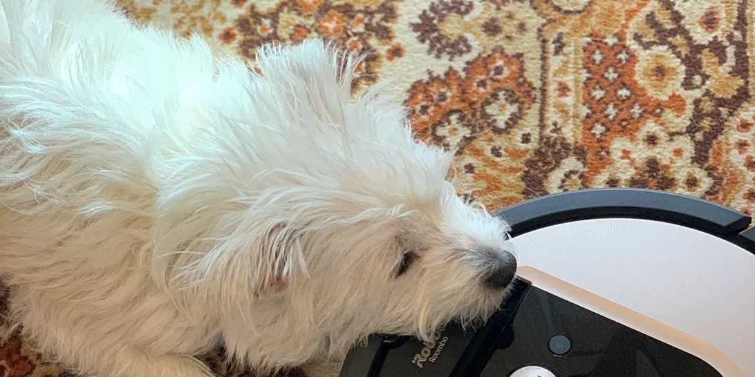 Η ζωή μου με την iRobot