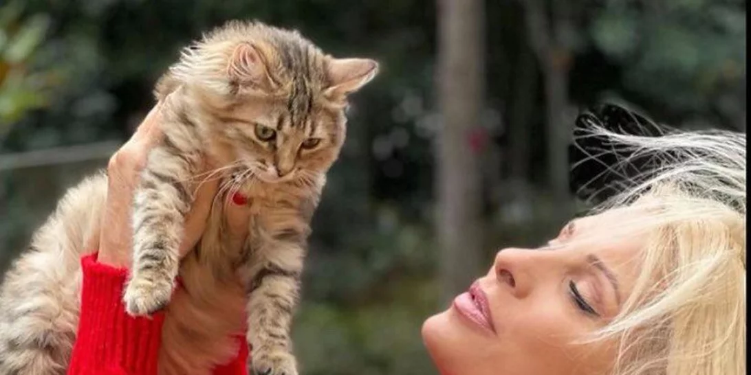 Ελένη Μενεγάκη | Οι νέες φωτογραφίες με τη γάτα της που ενθουσίασαν το Instagram