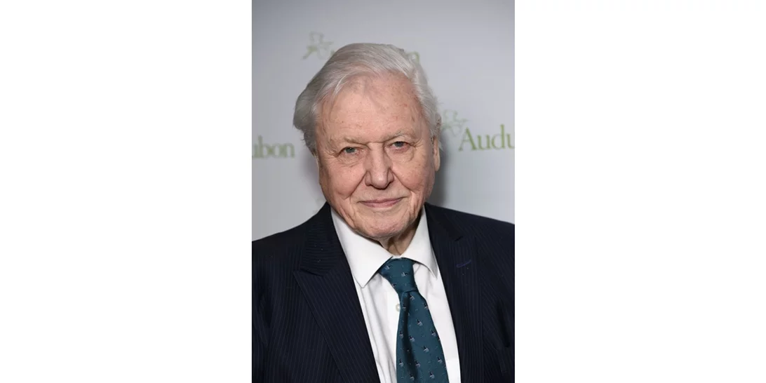 Sir David Attenborough | Το πρωτοχρονιάτικο μήνυμά του για το περιβάλλον