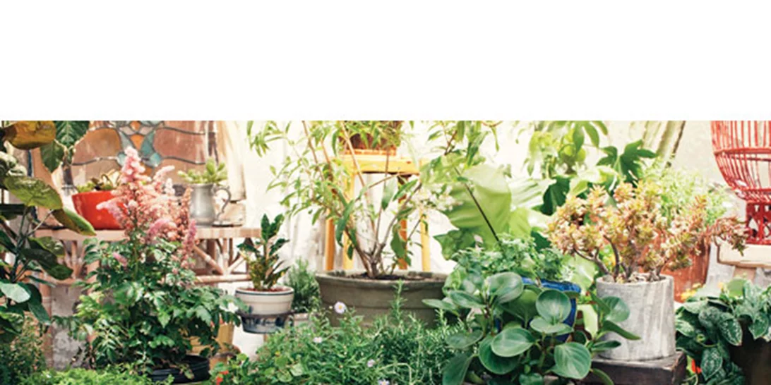 One Day: Βοήθησε και εσύ την TOMS να βοηθήσει τα παιδιά, με ένα ποστ!