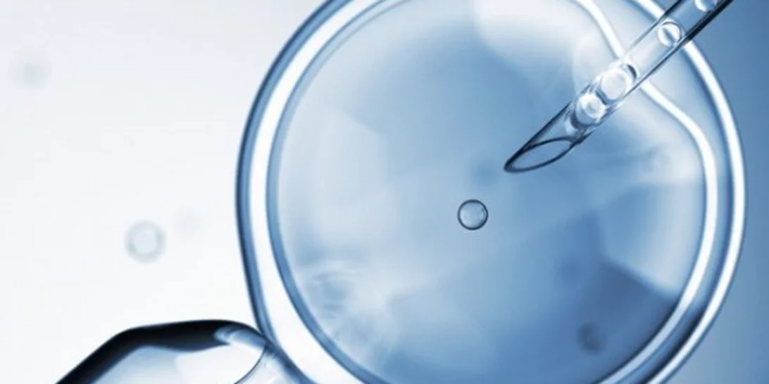 Μ. Σχοινάς | Μέχρι το τέλος του καλοκαιριού θα έχει εμβολιαστεί το 70% του γενικού πληθυσμού