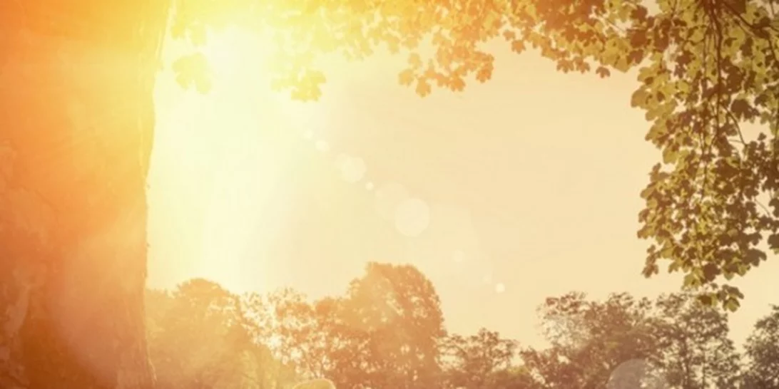 Το πρώτο πράγμα που θα κάνεις κάθε πρωί για να αδυνατίσεις