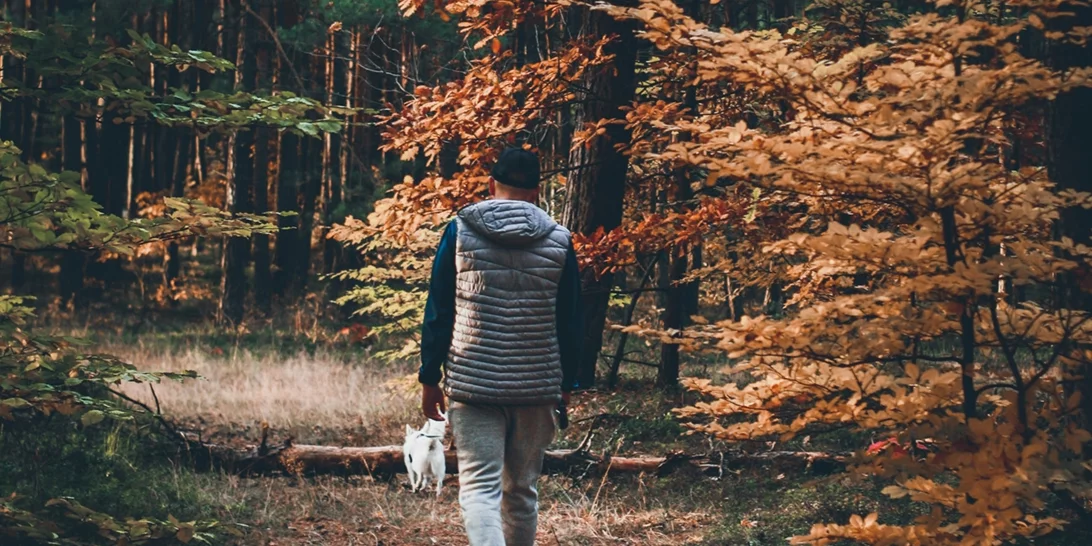 Τα ζώδια σήμερα 15/11 | Ημερήσιες προβλέψεις για κάθε ζώδιo