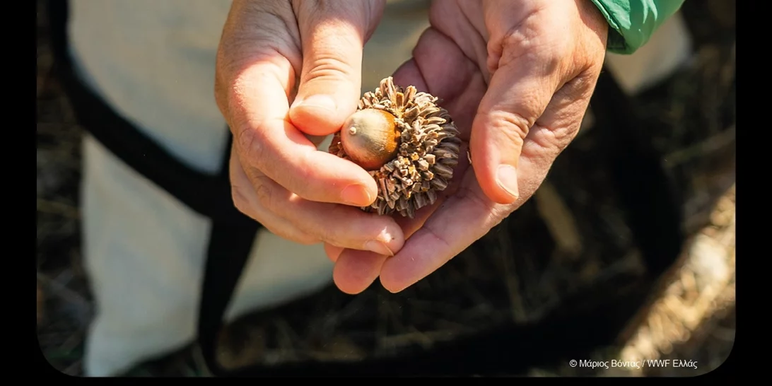 " Ώρα Της Γης 2023": Η μεγαλύτερη ώρα για τη Γη