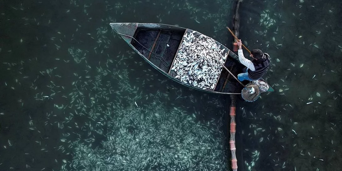 Μια ελληνική φωτογραφία στις κορυφαίες της χρονιάς για το Reuters