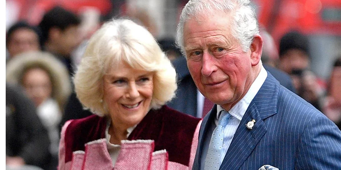 Βρετανία | Τρόμος στον αέρα για τη βασίλισσα Καμίλα - Το αεροπλάνο της συγκρούστηκε με πουλί [εικόνες, βίντεο]