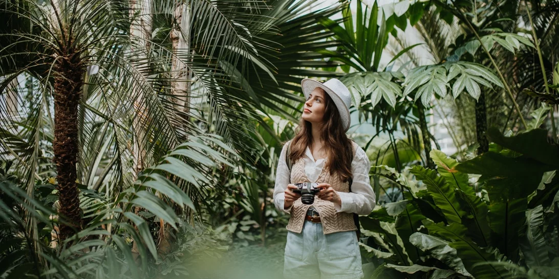 Άγνωστο φοινικόδασος της Αττικής, που απέχει μόλις 45 λεπτά από το κέντρο της Αθήνας